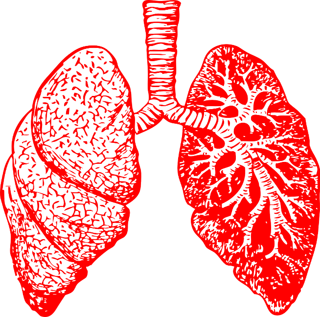 Illustration of lungs affected by COPD